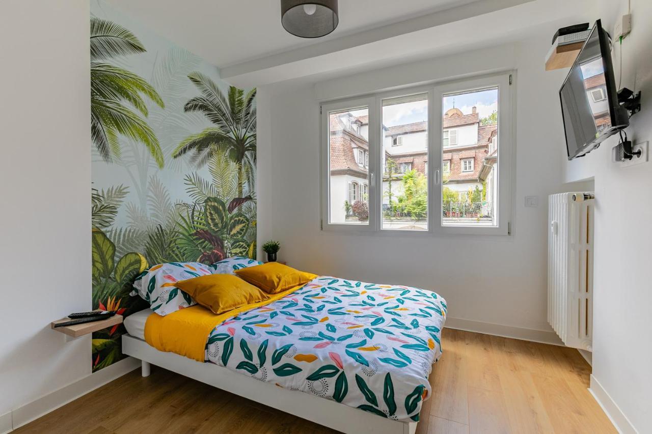 Strasbourg Centre / Krutneau Appartement Buitenkant foto